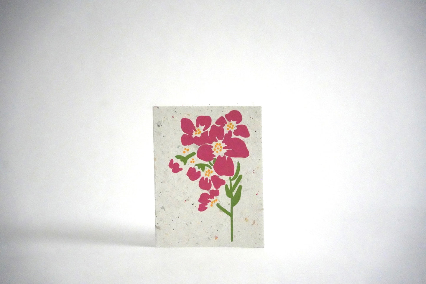 Greeting Card Box Set